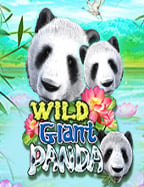 กฎหมาย การพนันบอล ที่ทุกคนควรรู้